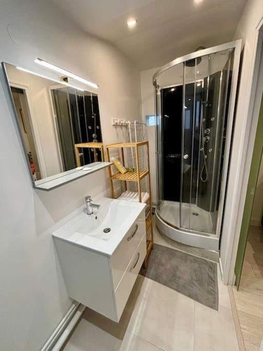 L'Escobar Troyen Apartment Troyes Ngoại thất bức ảnh